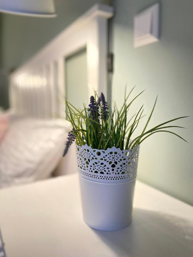 Apartament Bed N Riesling Forst an der Weinstrasse Zewnętrze zdjęcie